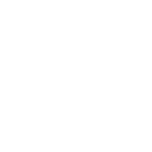 Toumai Tronix Logo